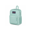JANSPORT Big Day Pack Faded Sage