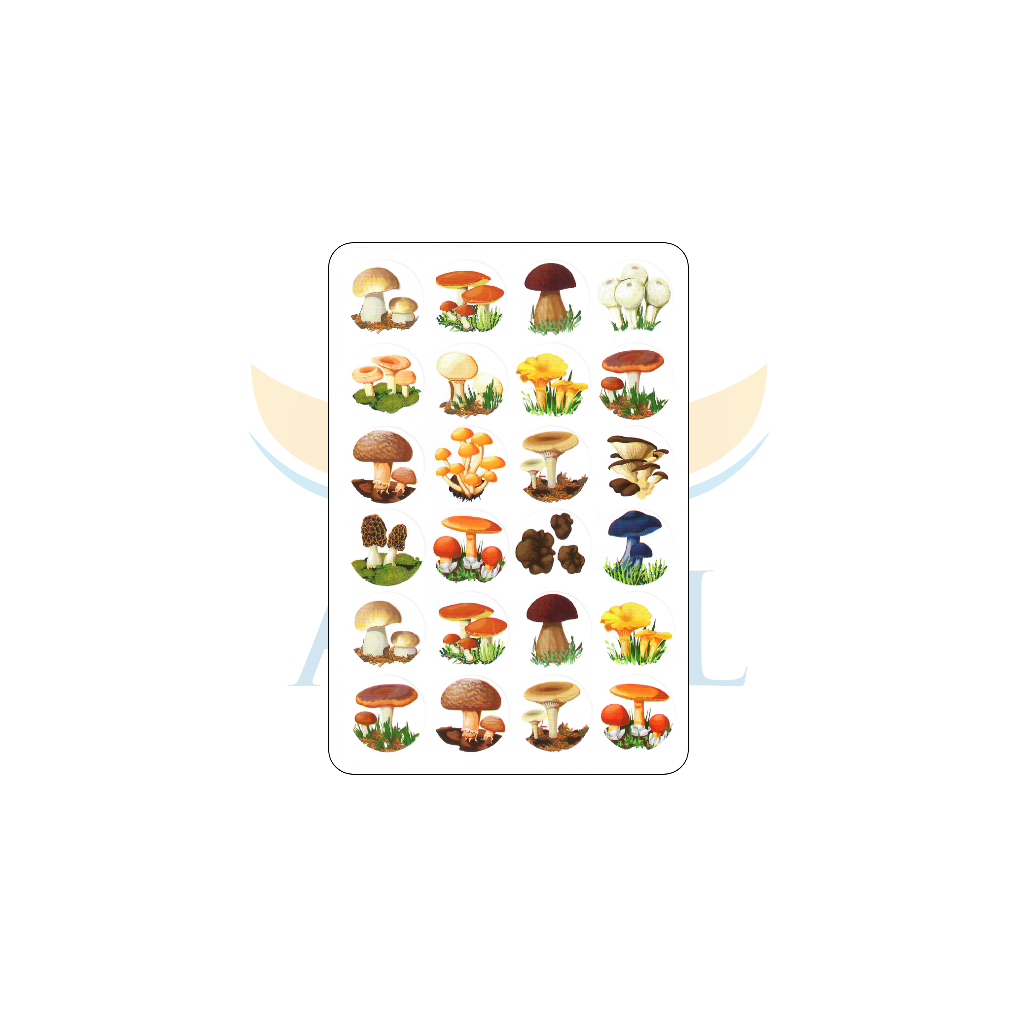 מדבקות 15115 פטריות