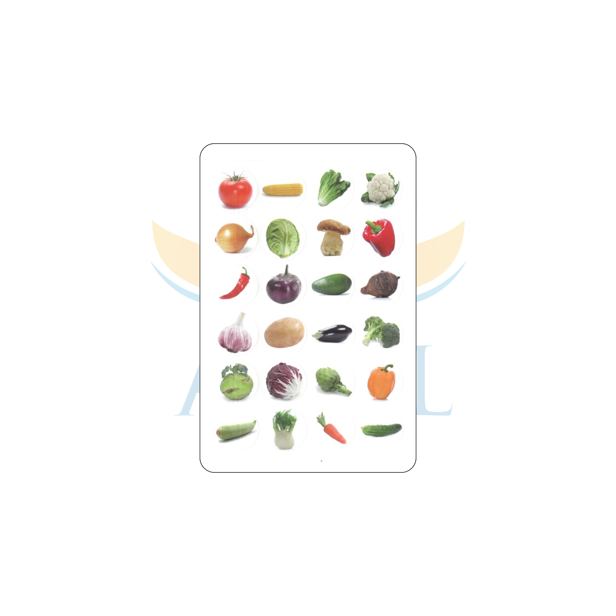 מדבקות 15123 ירקות